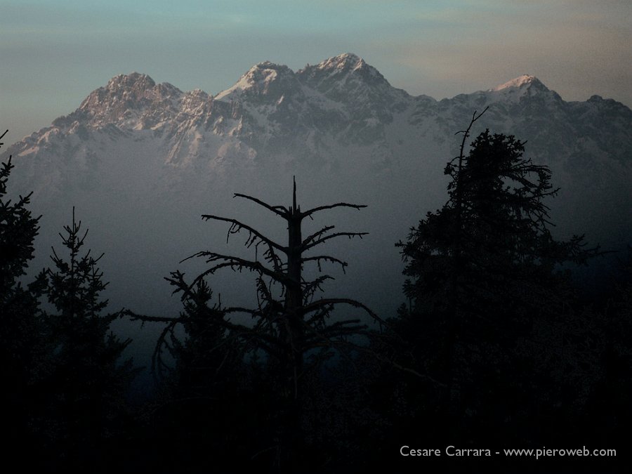 14-primi fendenti di luce nella bruma matutina..jpg